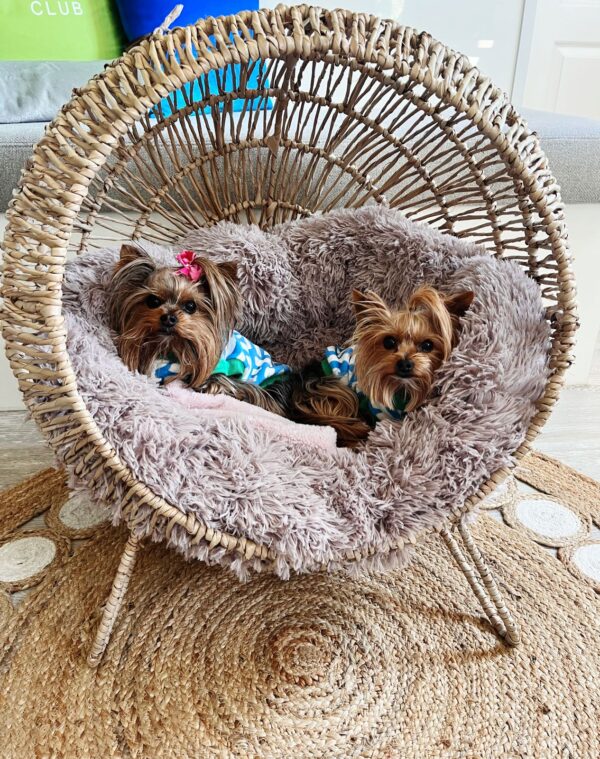 Standing Pet Loungers - Image 12